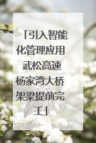 引入智能化管理应用 武松高速杨家湾大桥架梁提前完工