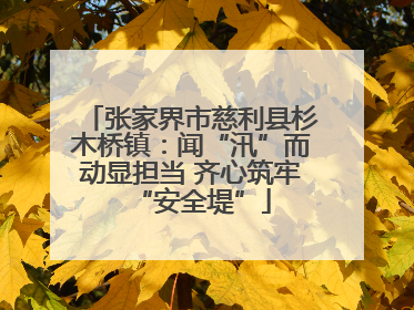 张家界市慈利县杉木桥镇：闻“汛”而动显担当 齐心筑牢“安全堤”
