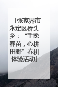 张家界市永定区桥头乡：“手挽春苗，心耕田野”春耕体验活动