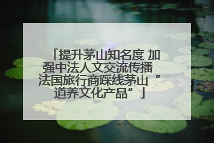 提升茅山知名度 加强中法人文交流传播 法国旅行商踩线茅山“道养文化产品”
