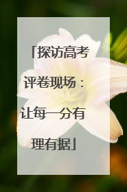 探访高考评卷现场：让每一分有理有据