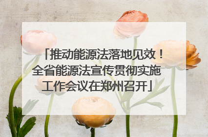 推动能源法落地见效！全省能源法宣传贯彻实施工作会议在郑州召开