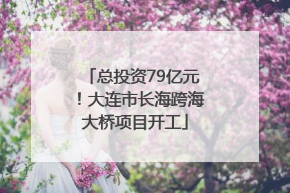 总投资79亿元！大连市长海跨海大桥项目开工