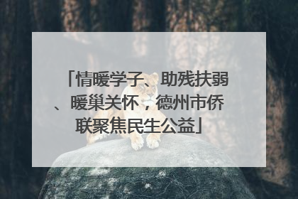 情暖学子、助残扶弱、暖巢关怀，德州市侨联聚焦民生公益