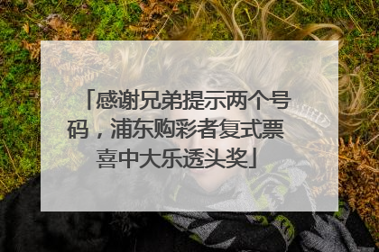 感谢兄弟提示两个号码，浦东购彩者复式票喜中大乐透头奖