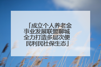 成立个人养老金事业发展联盟聊城全力打造多层次便民利民社保生态