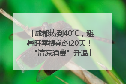成都热到40℃，避暑旺季提前约20天！“清凉消费”升温