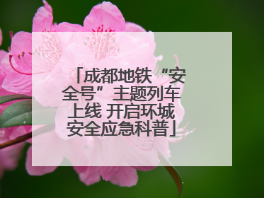 成都地铁“安全号”主题列车上线 开启环城安全应急科普