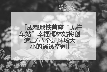 成都地铁首座“无柱车站”幸福梅林站将创造出6.5个足球场大小的通透空间