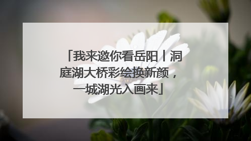 我来邀你看岳阳丨洞庭湖大桥彩绘换新颜，一城湖光入画来