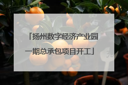扬州数字经济产业园一期总承包项目开工