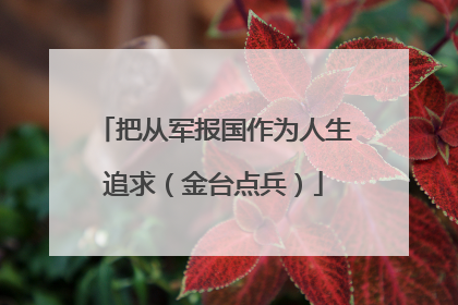 把从军报国作为人生追求（金台点兵）