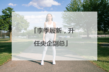 李季履新，升任央企副总