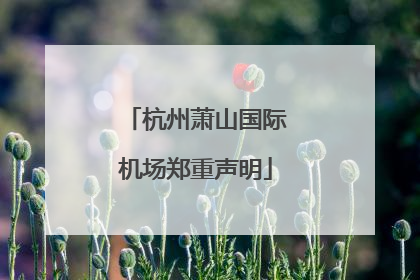 杭州萧山国际机场郑重声明