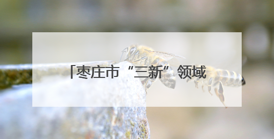 枣庄市“三新”领域妇联组织领头雁素质能力提升培训班开班