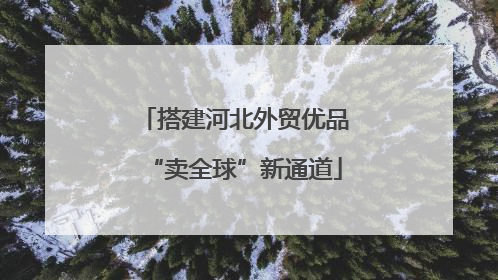 搭建河北外贸优品“卖全球”新通道