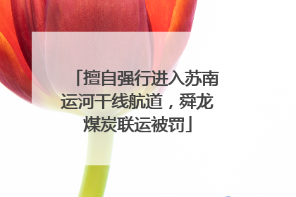 擅自强行进入苏南运河干线航道，舜龙煤炭联运被罚