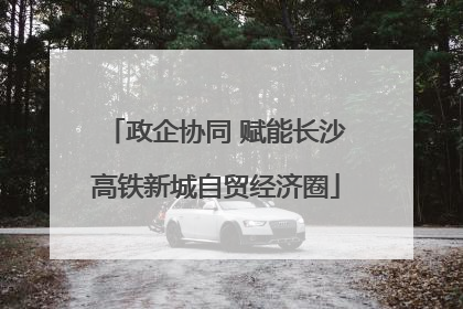 政企协同 赋能长沙高铁新城自贸经济圈