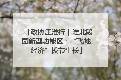 政协江淮行｜淮北段园新型功能区：“飞地经济”拔节生长