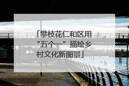 攀枝花仁和区用“五个一”描绘乡村文化新图景