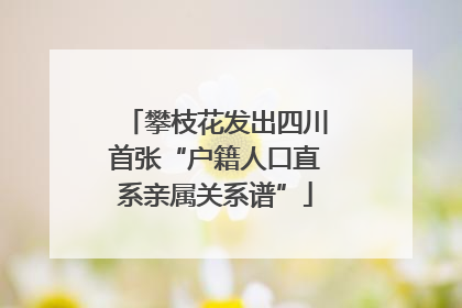 攀枝花发出四川首张“户籍人口直系亲属关系谱”