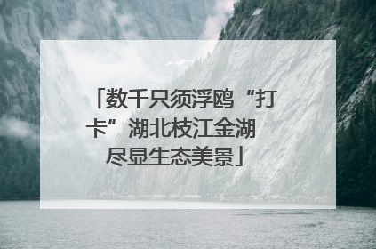 数千只须浮鸥“打卡”湖北枝江金湖 尽显生态美景