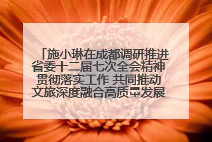 施小琳在成都调研推进省委十二届七次全会精神贯彻落实工作 共同推动文旅深度融合高质量发展 加快打造支柱产业民生产业幸福产业