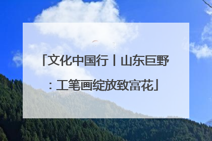 文化中国行丨山东巨野：工笔画绽放致富花