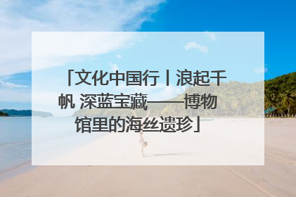 文化中国行丨浪起千帆 深蓝宝藏——博物馆里的海丝遗珍