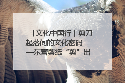 文化中国行｜剪刀起落间的文化密码——东营剪纸“剪”出非遗传承与现代生活的融合之道