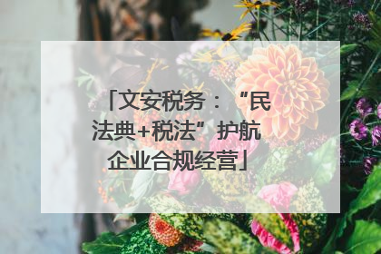 文安税务：“民法典+税法”护航企业合规经营