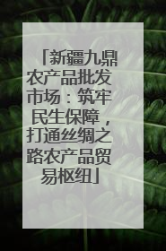 新疆九鼎农产品批发市场：筑牢民生保障，打通丝绸之路农产品贸易枢纽