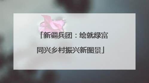 新疆兵团：绘就绿富同兴乡村振兴新图景