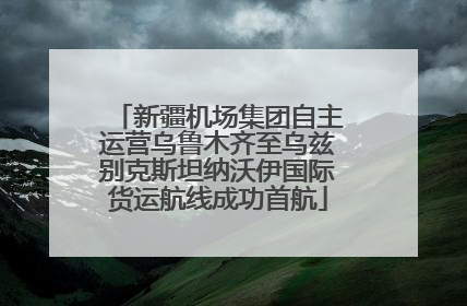 新疆机场集团自主运营乌鲁木齐至乌兹别克斯坦纳沃伊国际货运航线成功首航