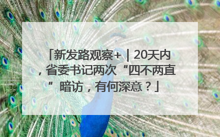 新发路观察+｜20天内，省委书记两次“四不两直”暗访，有何深意？