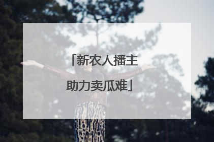 新农人播主 助力卖瓜难