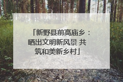 新野县前高庙乡：晒出文明新风景 共筑和美新乡村