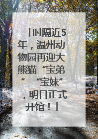 时隔近5年，温州动物园再迎大熊猫“宝弟”“宝妹”，明日正式开馆！