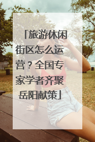 旅游休闲街区怎么运营？全国专家学者齐聚岳阳献策