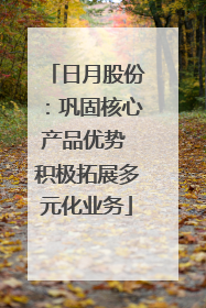 日月股份：巩固核心产品优势 积极拓展多元化业务