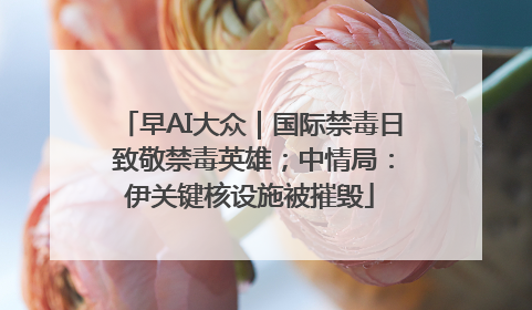 早AI大众｜国际禁毒日 致敬禁毒英雄；中情局：伊关键核设施被摧毁