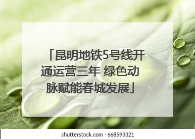 昆明地铁5号线开通运营三年 绿色动脉赋能春城发展