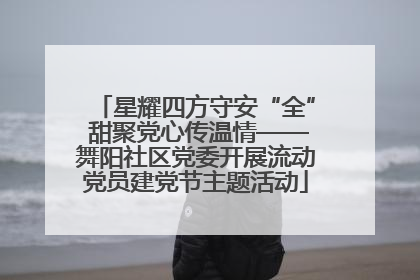 星耀四方守安“全” 甜聚党心传温情——舞阳社区党委开展流动党员建党节主题活动