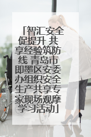 智汇安全促提升 共享经验筑防线 青岛市即墨区安委办组织安全生产共享专家现场观摩学习活动
