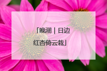 晚潮｜日边红杏倚云栽