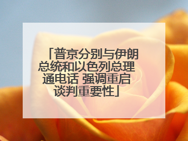 普京分别与伊朗总统和以色列总理通电话 强调重启谈判重要性