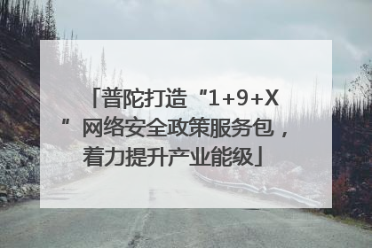 普陀打造“1+9+X”网络安全政策服务包，着力提升产业能级