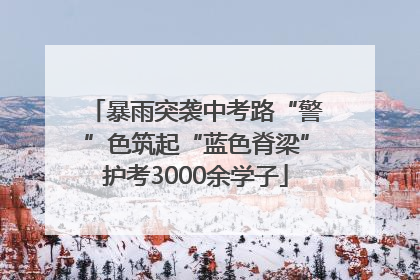 暴雨突袭中考路“警”色筑起“蓝色脊梁”护考3000余学子