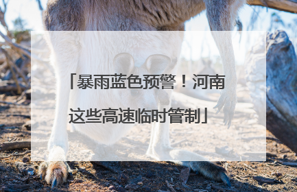 暴雨蓝色预警！河南这些高速临时管制
