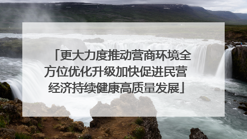 更大力度推动营商环境全方位优化升级加快促进民营经济持续健康高质量发展
